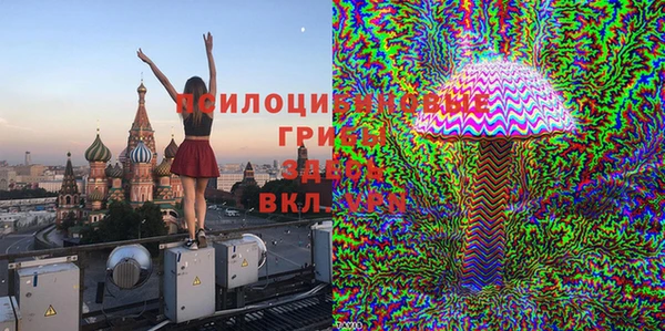 синтетический гашиш Алексин