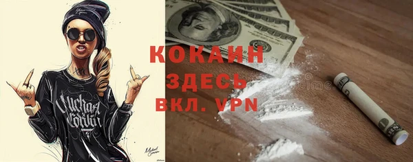 крисы Алзамай