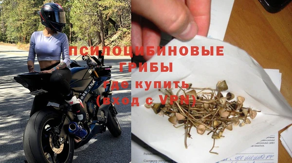 крисы Алзамай