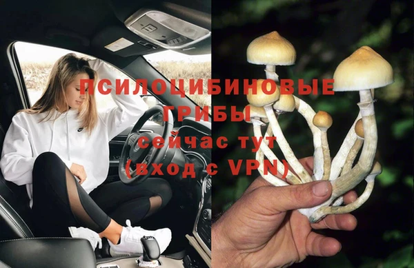 крисы Алзамай