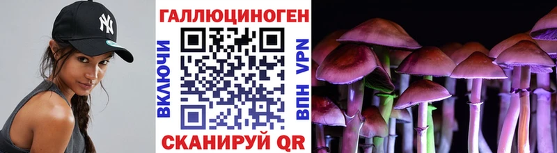 Галлюциногенные грибы мухоморы  купить   Кедровый 